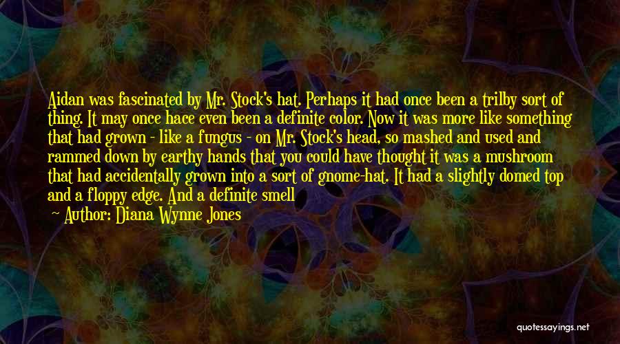 Gnome Quotes By Diana Wynne Jones