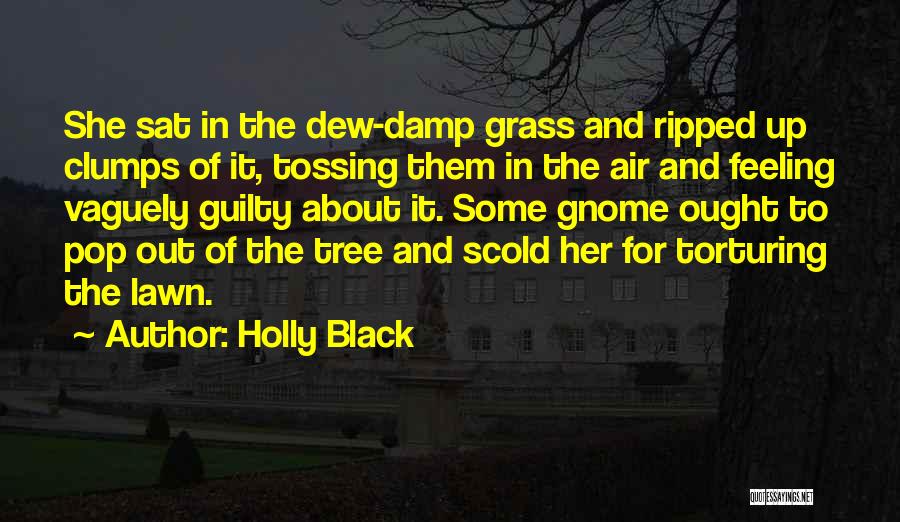 Gnome Quotes By Holly Black