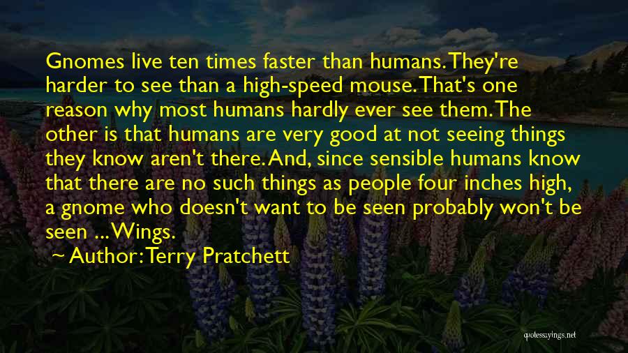 Gnome Quotes By Terry Pratchett
