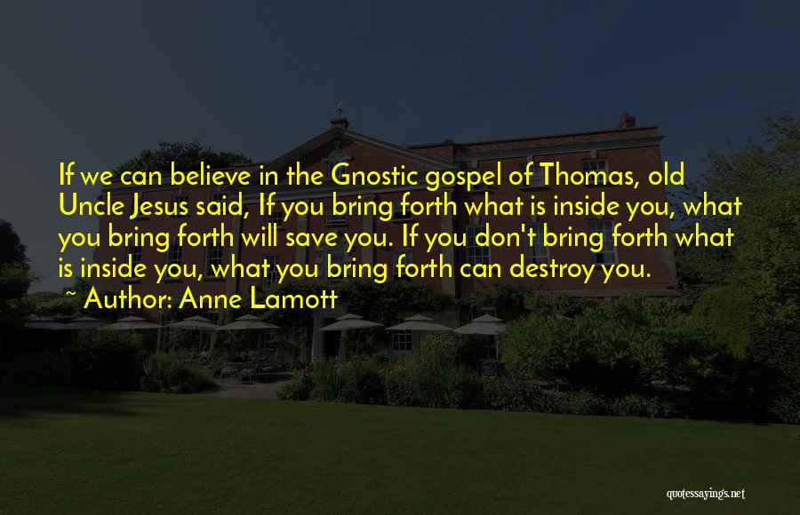 Gnostic Quotes By Anne Lamott