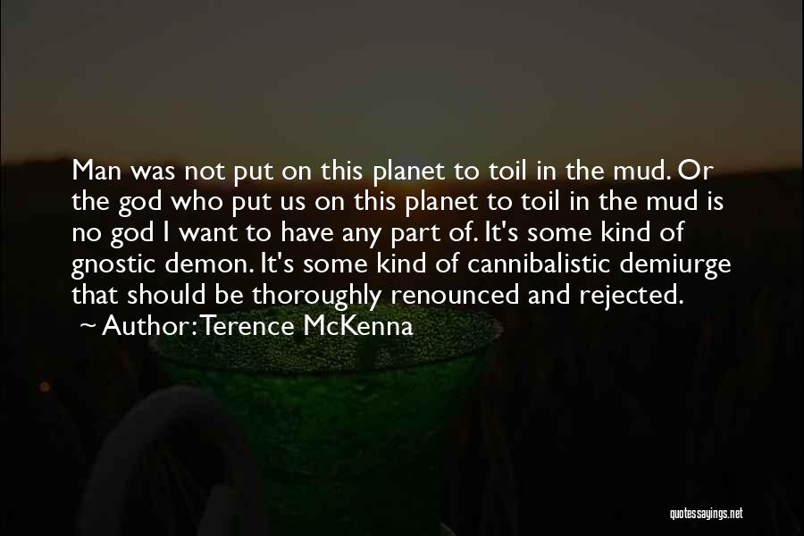 Gnostic Quotes By Terence McKenna