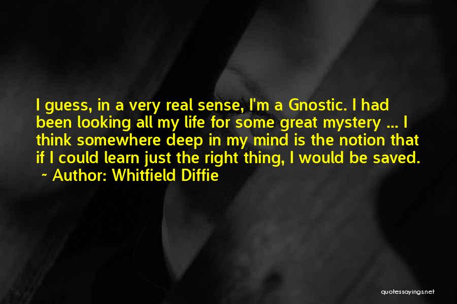Gnostic Quotes By Whitfield Diffie