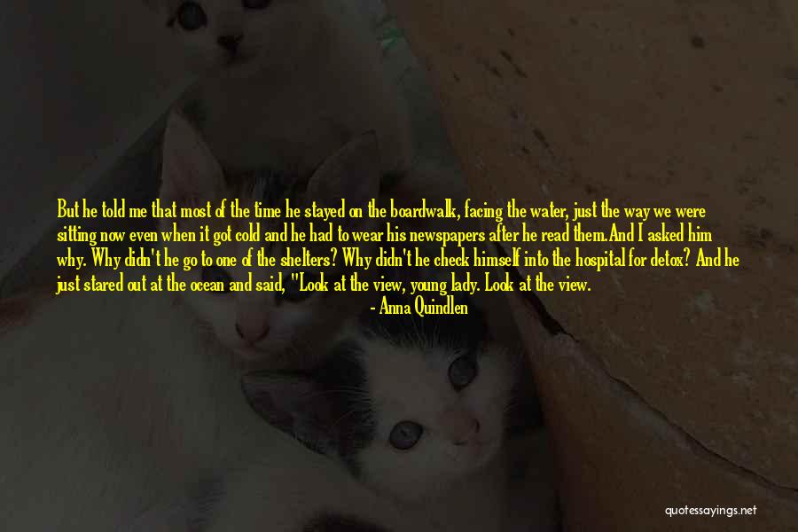 Go After Him Quotes By Anna Quindlen Go After Him Quotes By Anna Quindlen
