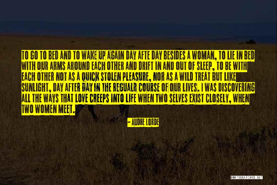 Go After Love Quotes By Audre Lorde Go After Love Quotes By Audre Lorde