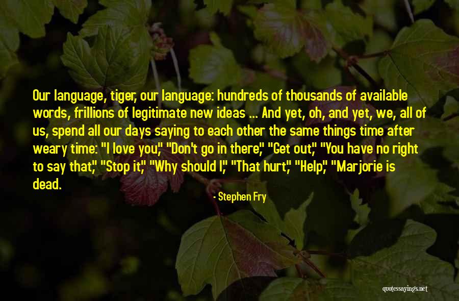 Go After Love Quotes By Stephen Fry