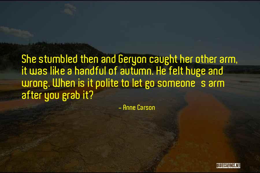 Go After Someone Quotes By Anne Carson Go After Someone Quotes By Anne Carson