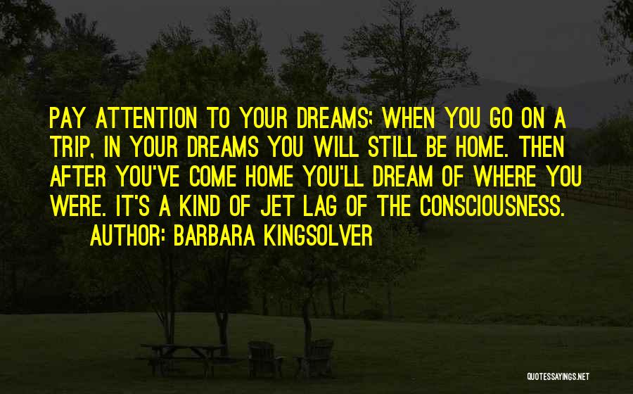 Go After Your Dreams Quotes By Barbara Kingsolver