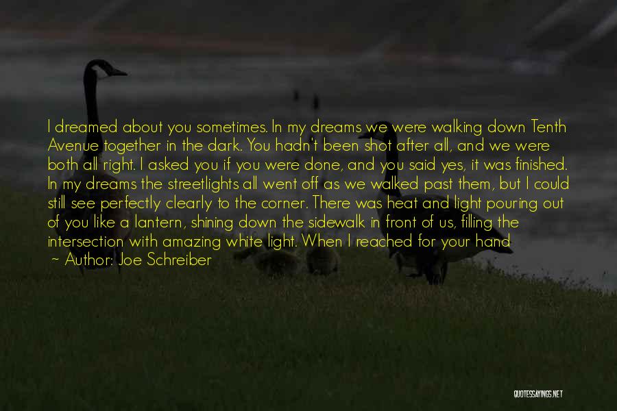 Go After Your Dreams Quotes By Joe Schreiber