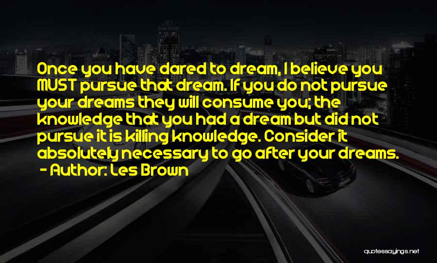 Go After Your Dreams Quotes By Les Brown