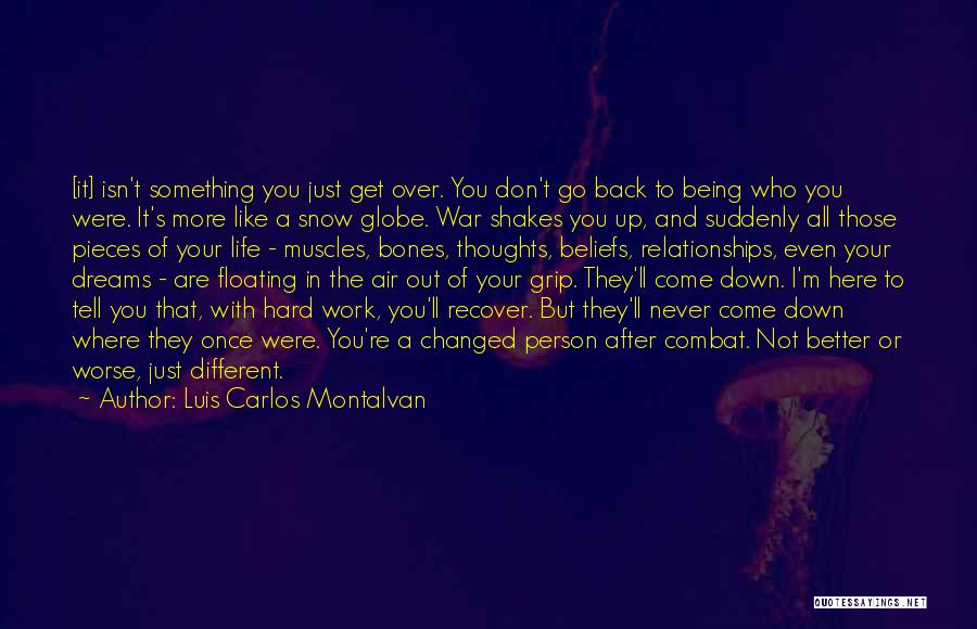 Go After Your Dreams Quotes By Luis Carlos Montalvan