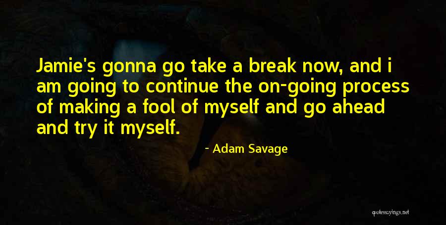 Go Ahead And Break Quotes By Adam Savage Go Ahead And Break Quotes By Adam Savage