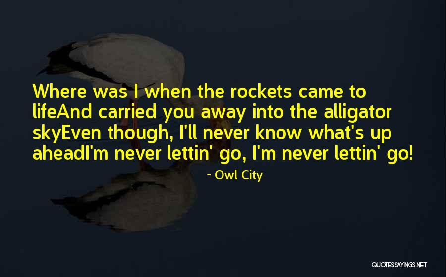 Go Ahead Life Quotes By Owl City Go Ahead Life Quotes By Owl City