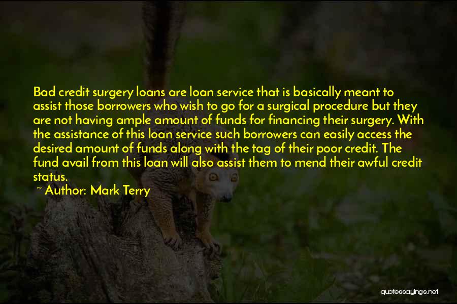 Go Along Quotes By Mark Terry