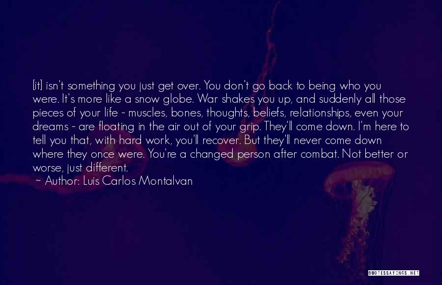 Go And Never Come Back Quotes By Luis Carlos Montalvan