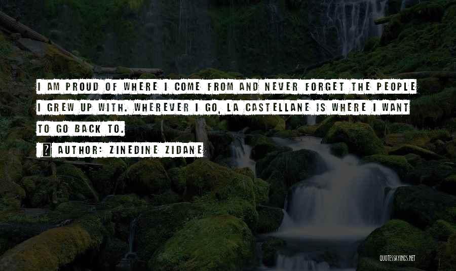 Go And Never Come Back Quotes By Zinedine Zidane
