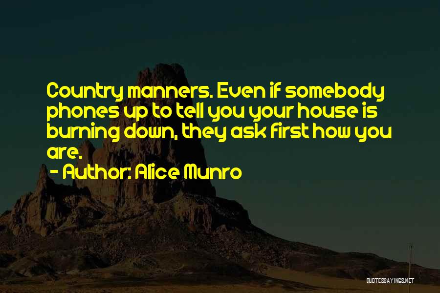 Go Ask Alice Quotes By Alice Munro