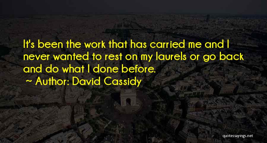 Go Back To Work Quotes By David Cassidy