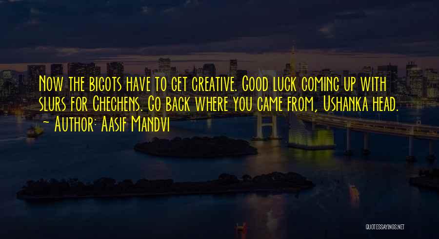 Go Back Where You Came From Quotes By Aasif Mandvi