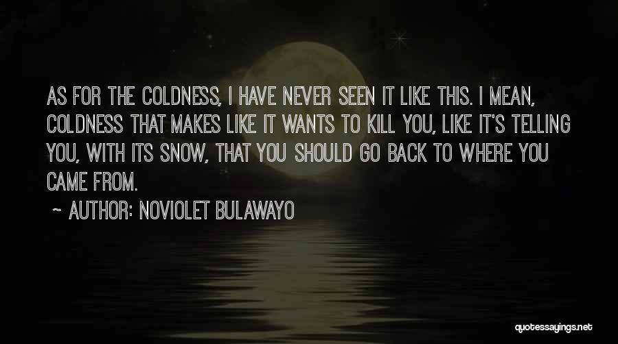 Go Back Where You Came From Quotes By NoViolet Bulawayo