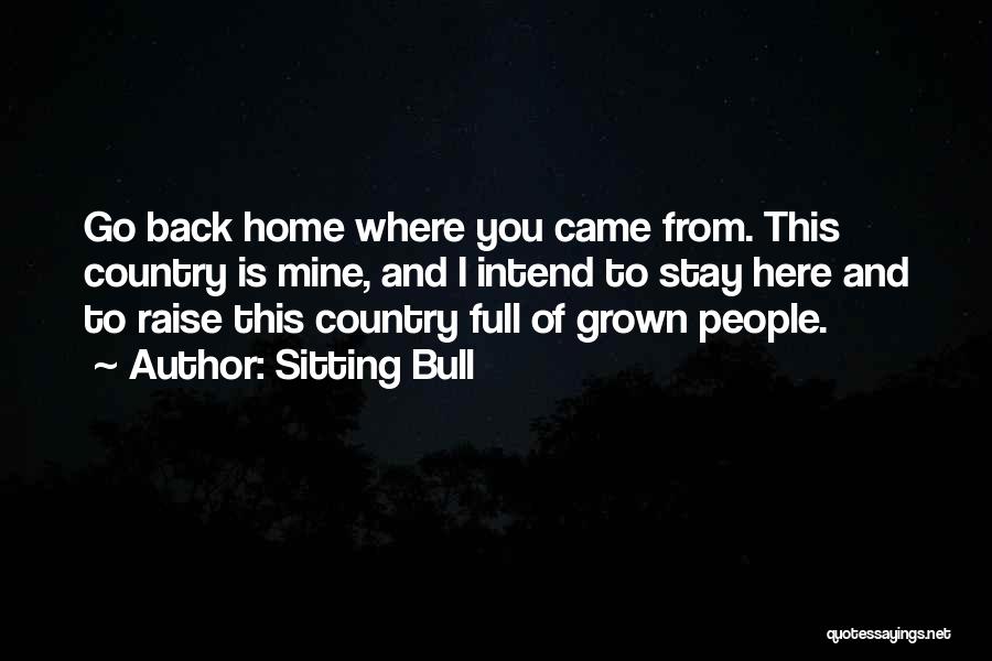 Go Back Where You Came From Quotes By Sitting Bull