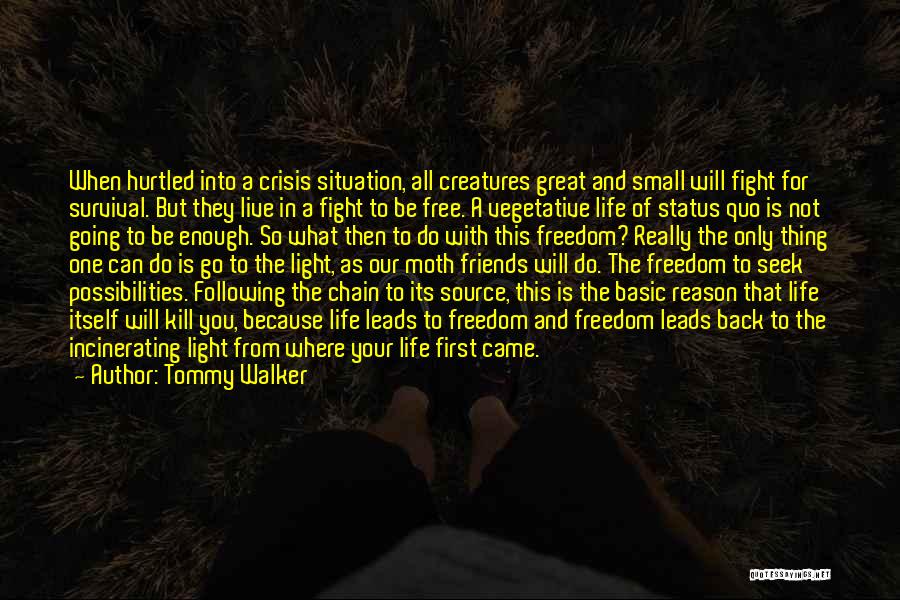 Go Back Where You Came From Quotes By Tommy Walker