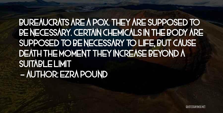 Go Beyond The Limit Quotes By Ezra Pound