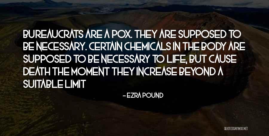 Go Beyond The Limit Quotes By Ezra Pound