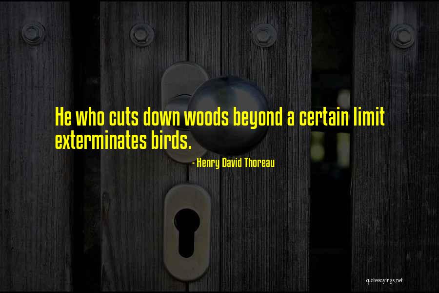 Go Beyond The Limit Quotes By Henry David Thoreau