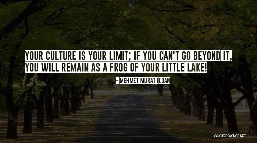 Go Beyond The Limit Quotes By Mehmet Murat Ildan