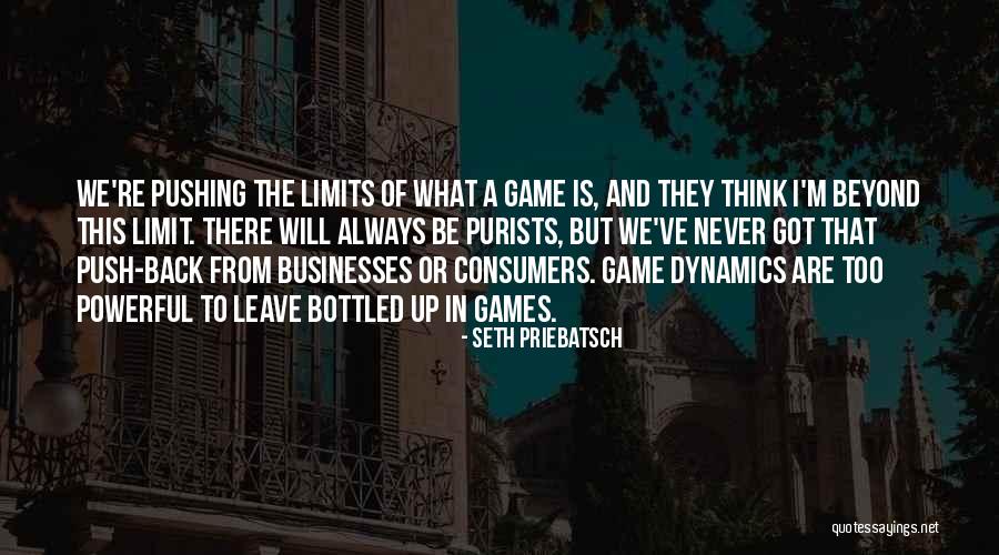 Go Beyond The Limit Quotes By Seth Priebatsch