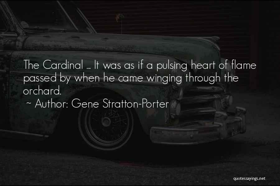Go Cardinals Quotes By Gene Stratton-Porter