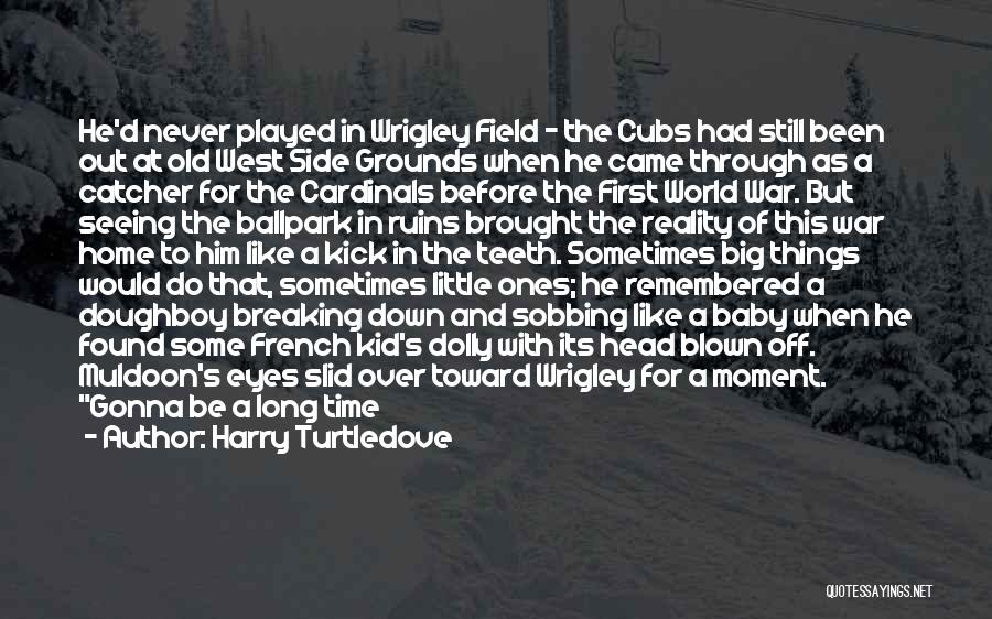 Go Cardinals Quotes By Harry Turtledove