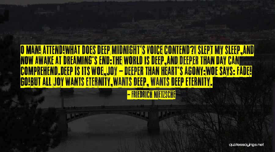 Go Deeper Quotes By Friedrich Nietzsche Go Deeper Quotes By Friedrich Nietzsche