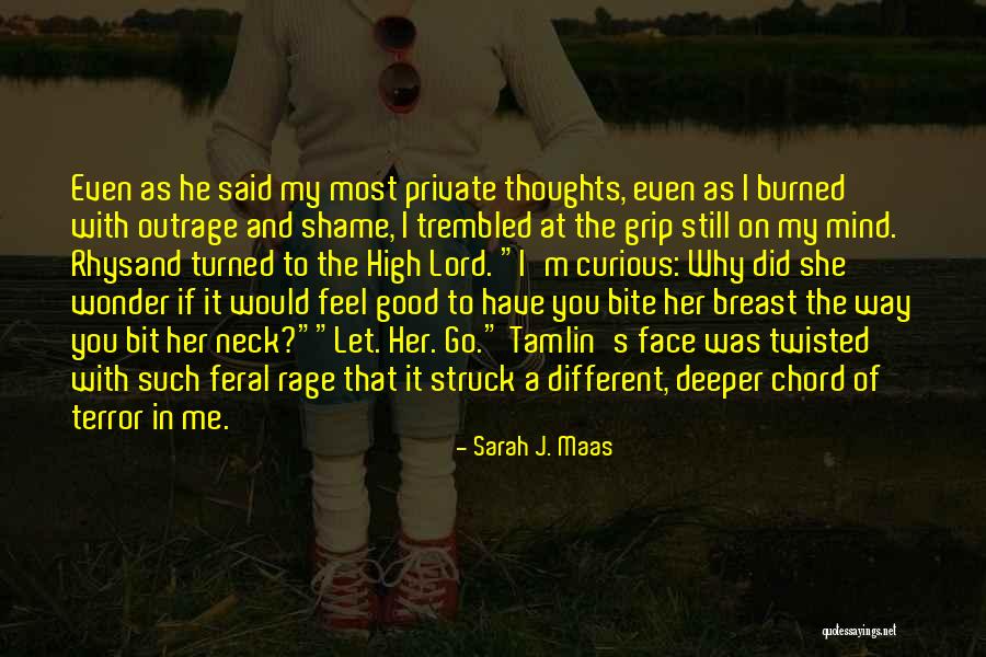 Go Deeper Quotes By Sarah J. Maas Go Deeper Quotes By Sarah J. Maas