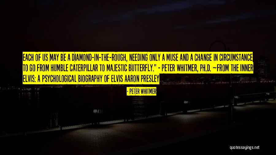 Go Diamond Quotes By Peter Whitmer Go Diamond Quotes By Peter Whitmer