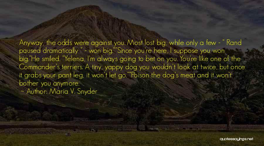 Go Dog Go Quotes By Maria V. Snyder