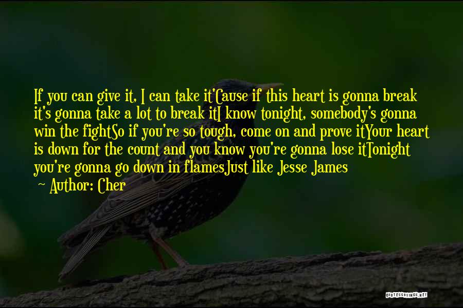 Go Down In Flames Quotes By Cher