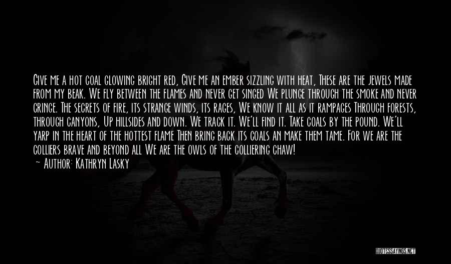 Go Down In Flames Quotes By Kathryn Lasky