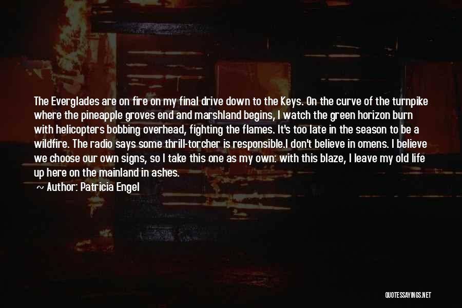 Go Down In Flames Quotes By Patricia Engel