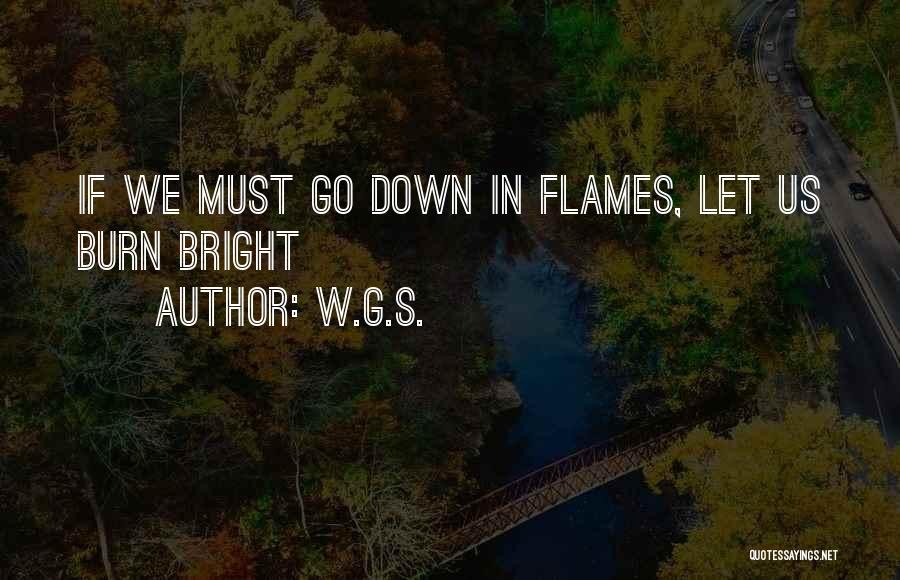 Go Down In Flames Quotes By W.G.S.