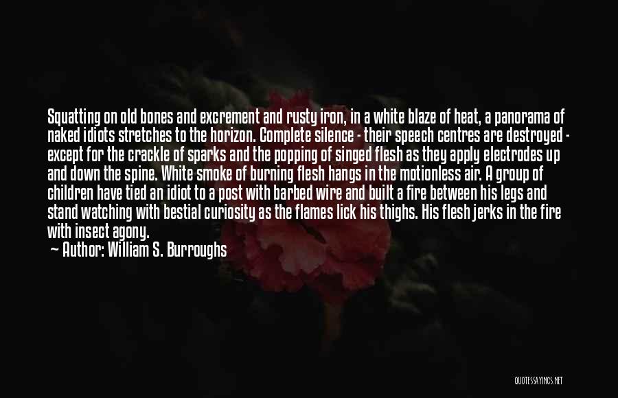 Go Down In Flames Quotes By William S. Burroughs