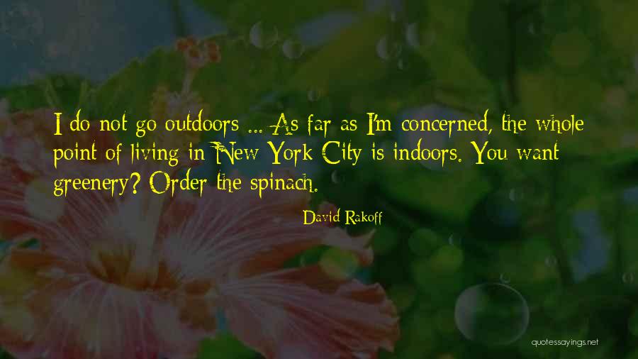 Go Far Quotes By David Rakoff