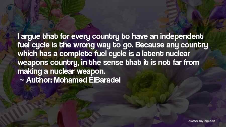 Go Far Quotes By Mohamed ElBaradei