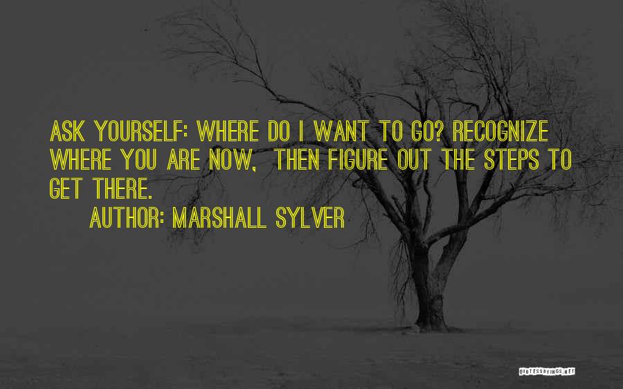 Go Figure Quotes By Marshall Sylver