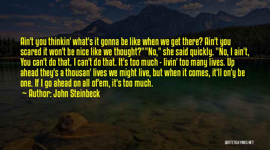 Go Get Em Quotes By John Steinbeck