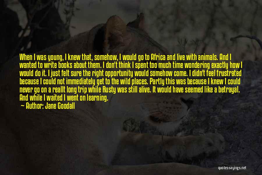 Go Get It Attitude Quotes By Jane Goodall