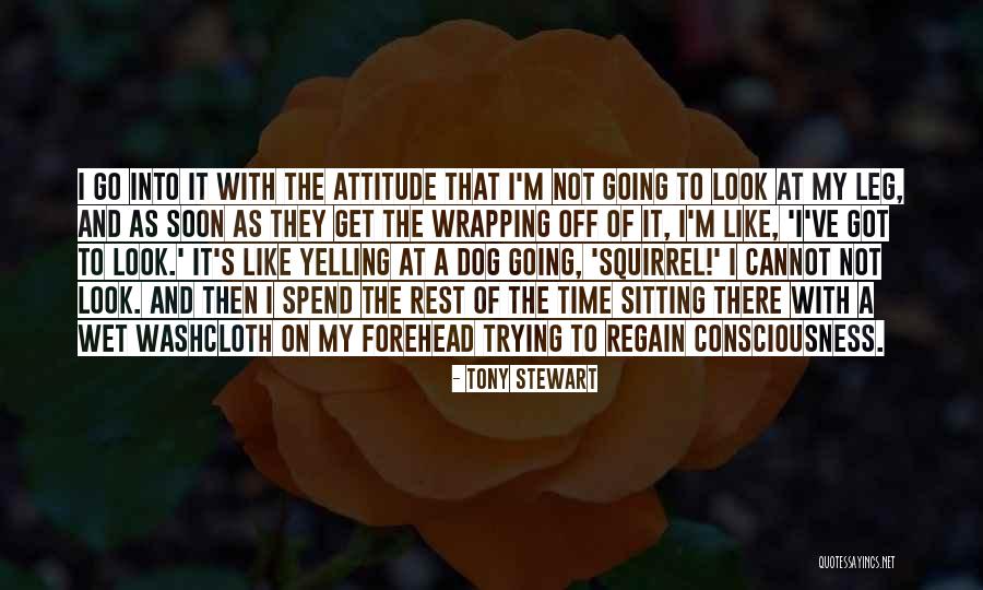 Go Get It Attitude Quotes By Tony Stewart Go Get It Attitude Quotes By Tony Stewart