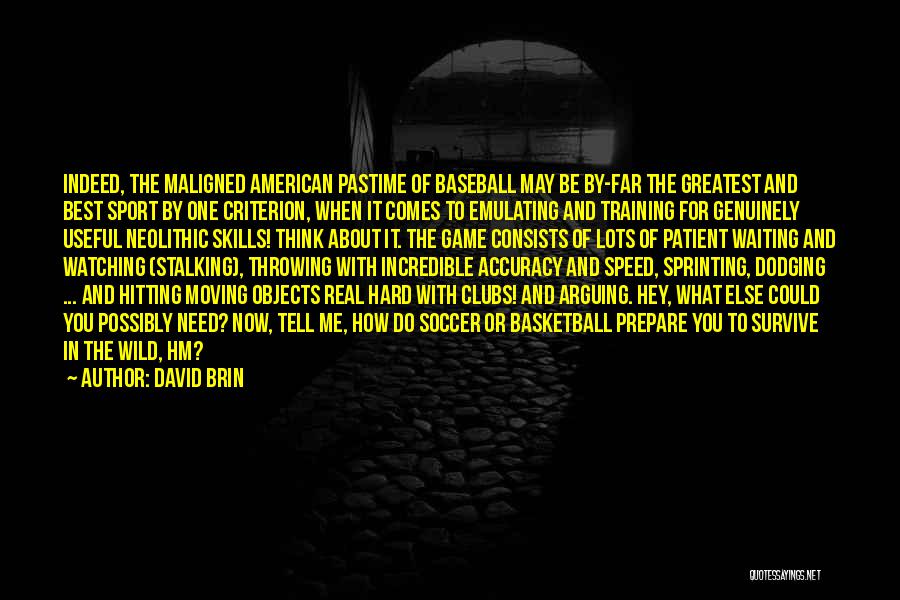 Go Hard Basketball Quotes By David Brin