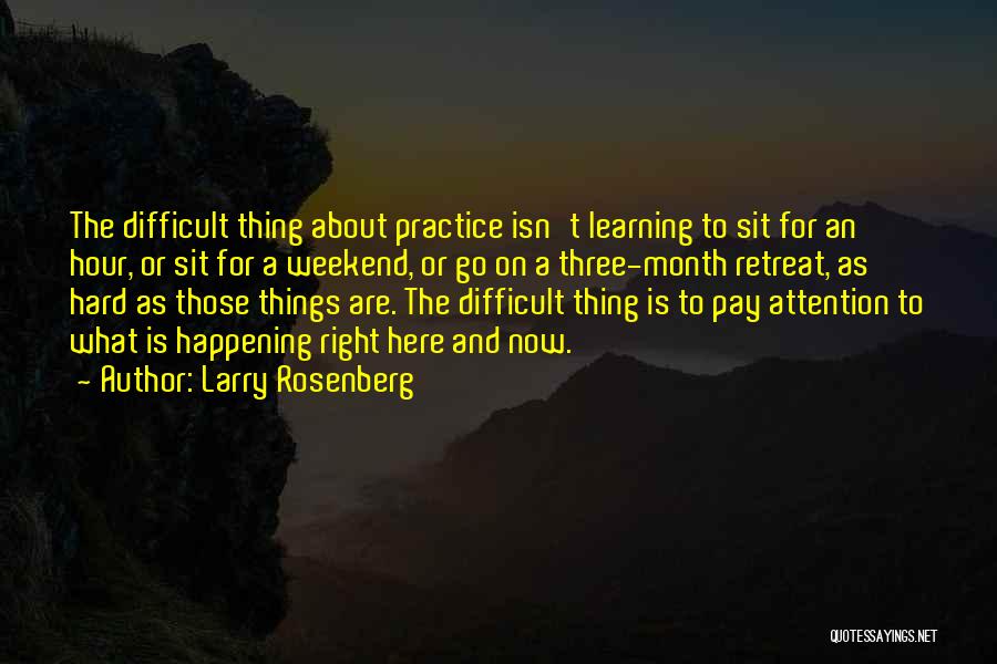 Go Hard Quotes By Larry Rosenberg