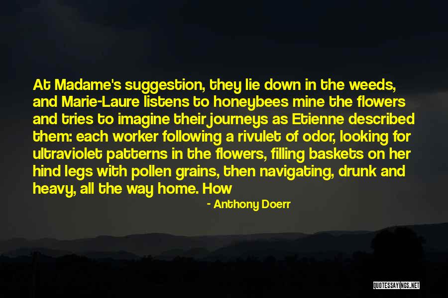 Go Home You're Drunk Quotes By Anthony Doerr Go Home You're Drunk Quotes By Anthony Doerr